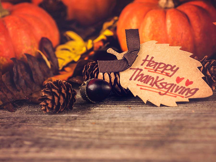 addthis-happy-thanksgiving